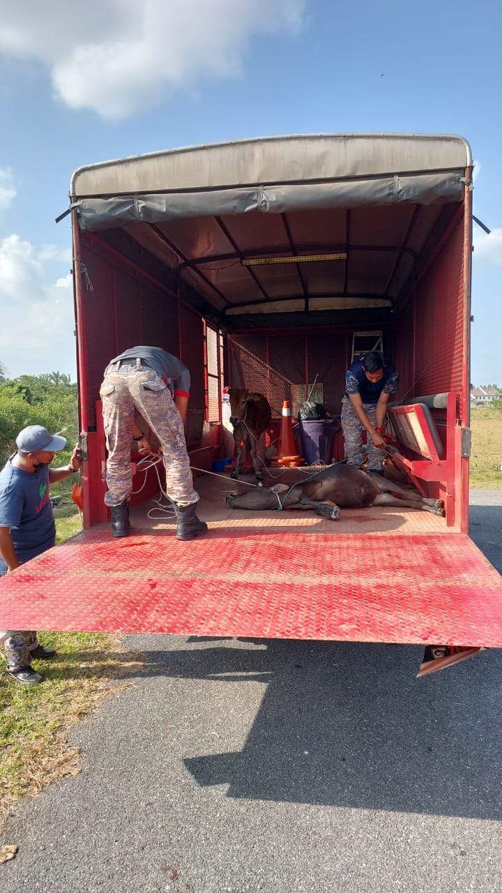 WhatsApp%20Image%202023 03 08%20at%208.22.39%20AM1