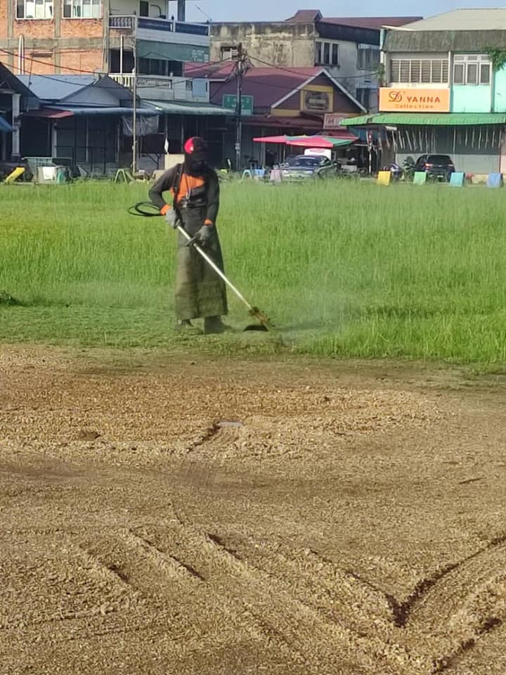 323776251 559473619120346 3822119705851197835 N