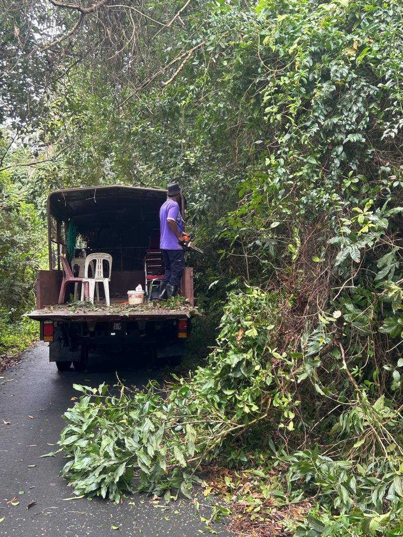 598502099 1228339752735104 3630222436710264030 N