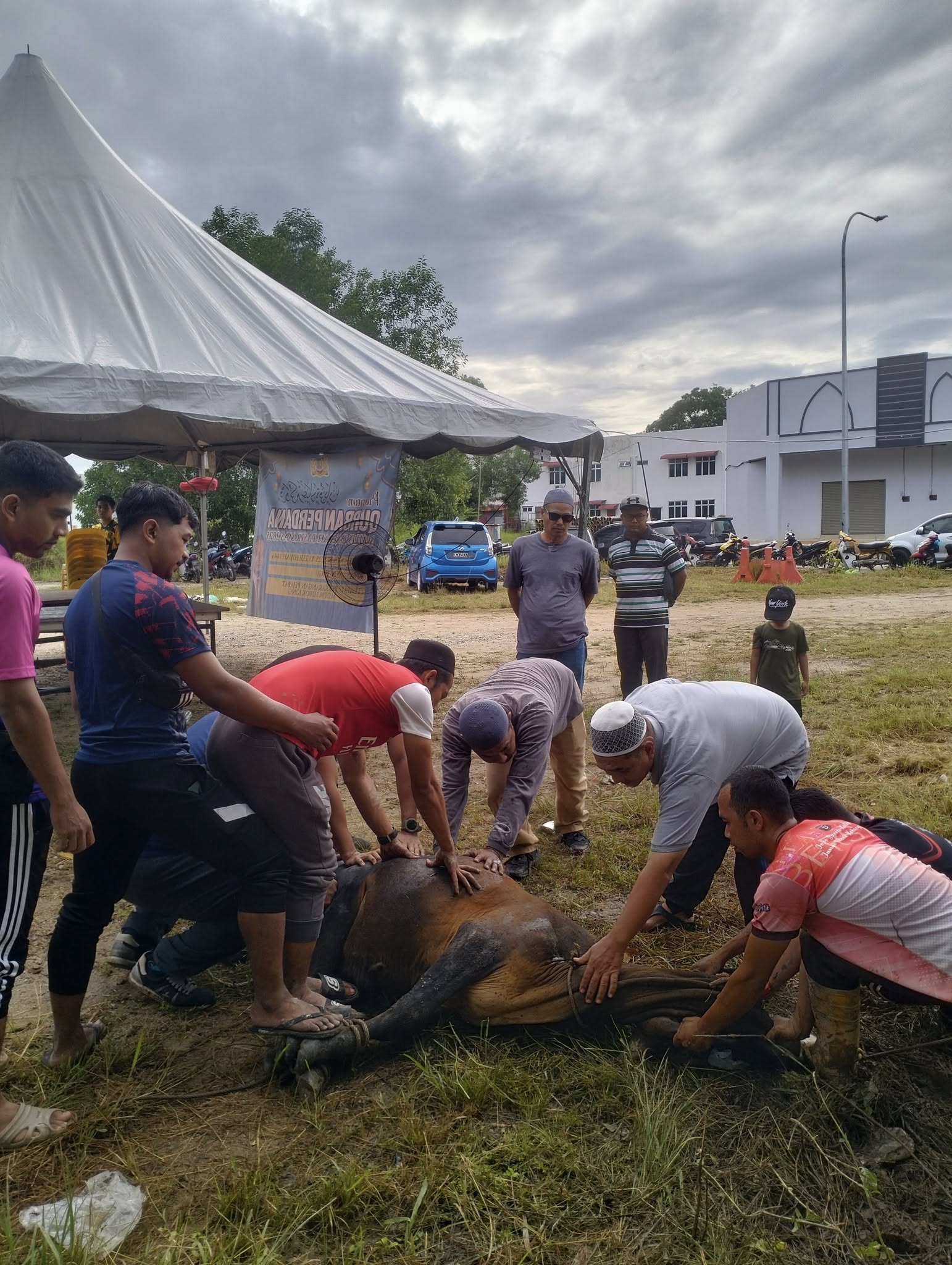 505863371 1062995565936191 1915614438019186169 N