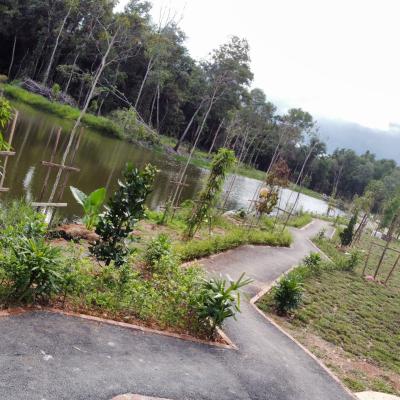 Img 20241112 Wa0025
